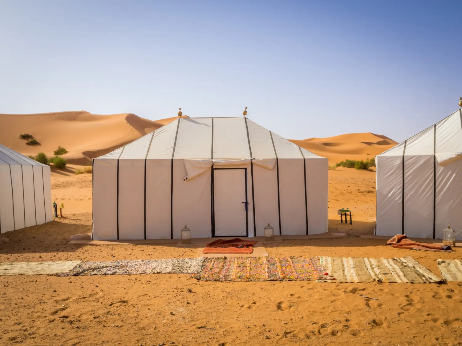 VIP Desert Safari in Dubai