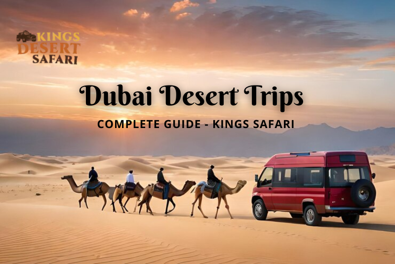 Dubai Desert Trips 2025: Complete Guide - Kings Safari