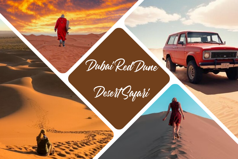 Dubai Red Dune Desert Safari – Complete Guide in 2025