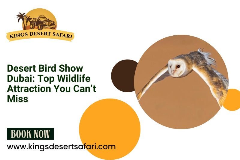 Desert Bird Show Dubai: Top Wildlife Attraction You Can't Miss