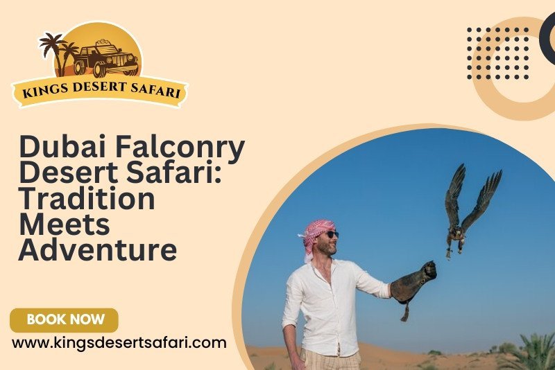 Dubai Falconry Desert Safari: Tradition Meets Adventure