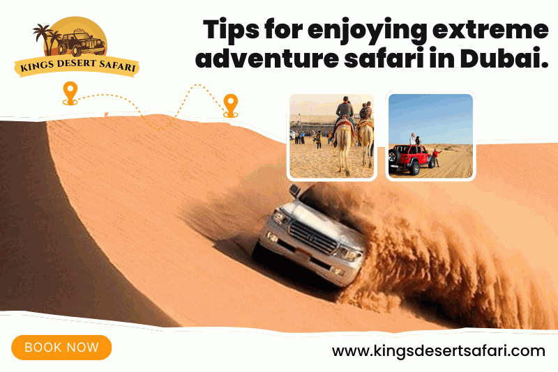 Tips For Enjoying an Extreme Safari Adventure in Dubai