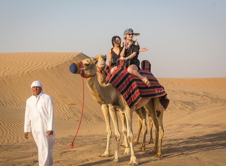 Camel Safari Image 1